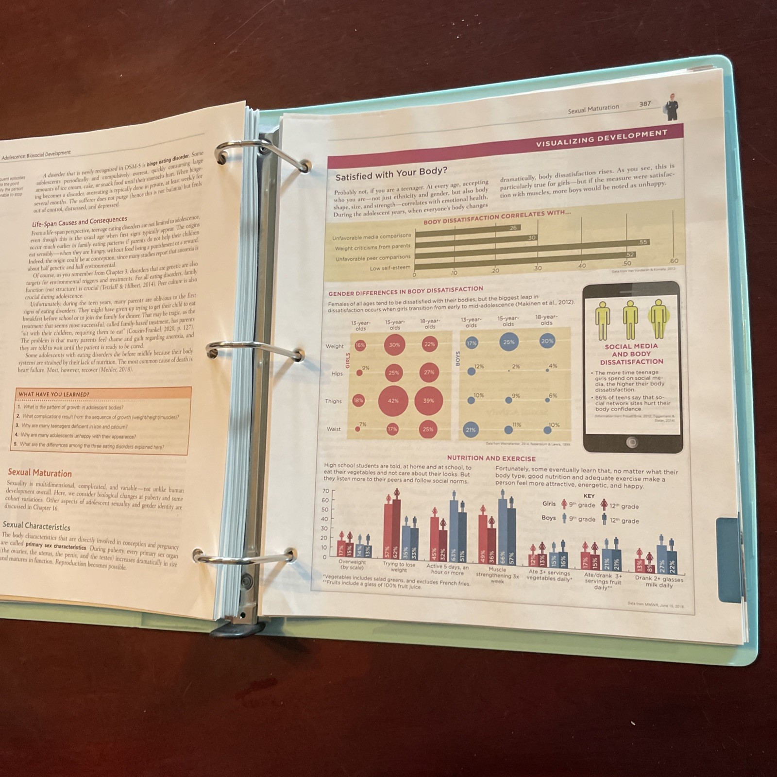Loose-Leaf Version for – Loose Leaf, by Berger Kathleen Stassen