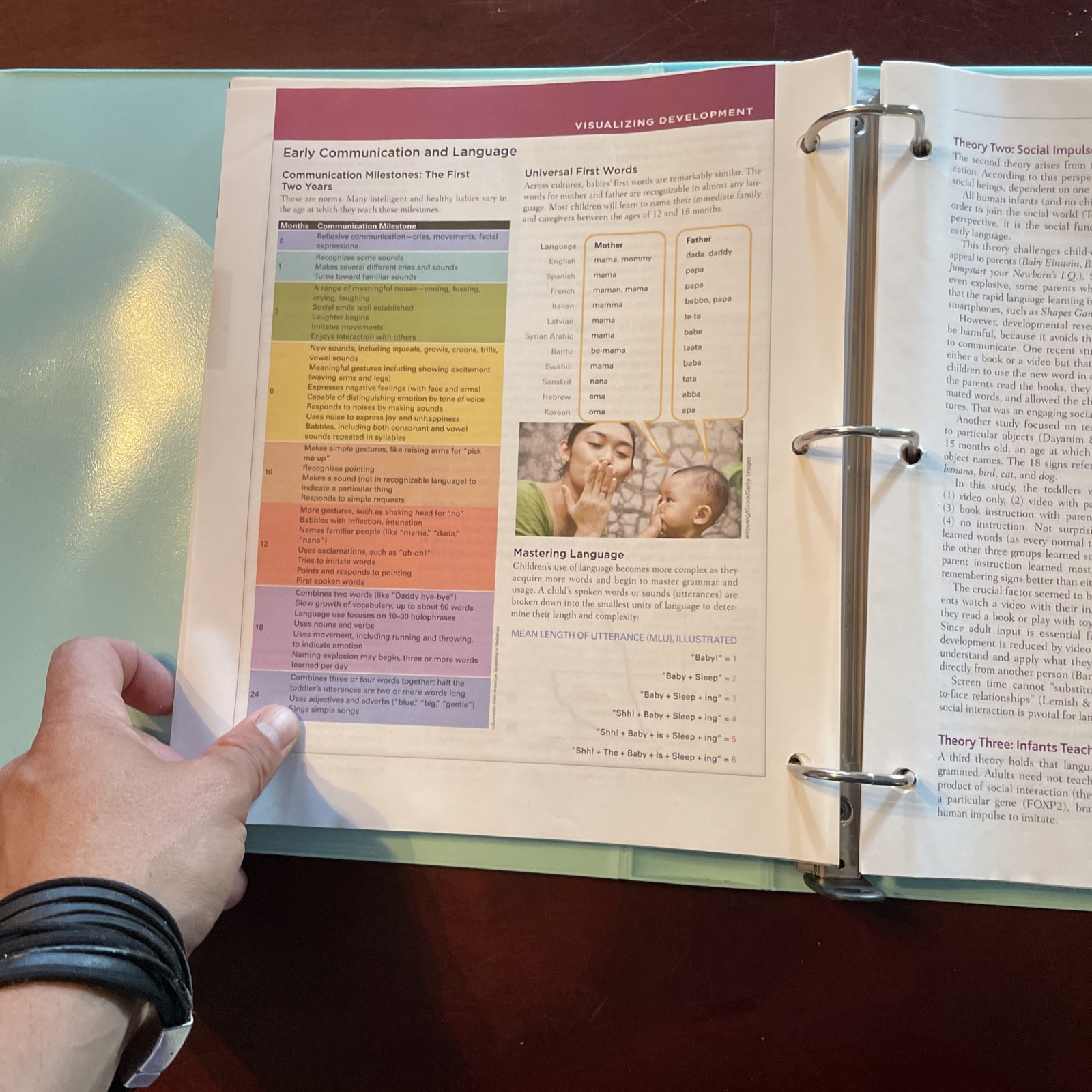 Loose-Leaf Version for – Loose Leaf, by Berger Kathleen Stassen