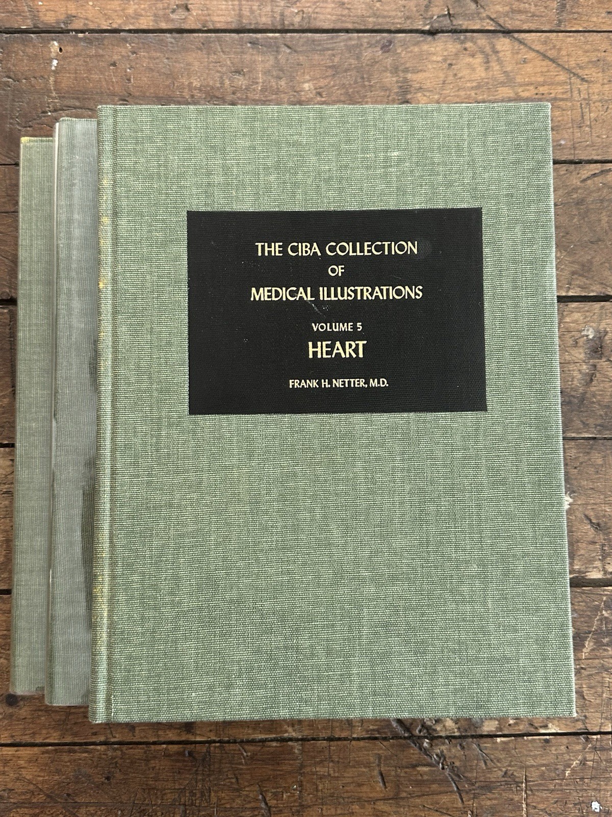 Frank H Netter CIBA Medical Illustrations Heart Kidneys Respiratory 3 Book Set