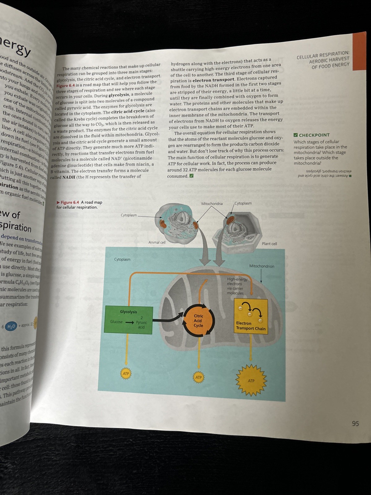Campbell Essential Biology with Physiology 6th Edition by Simon, Dickey, Reece