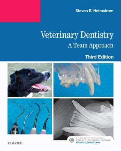 Veterinary Dentistry: A Team Approach, 3e – Paperback – GOOD