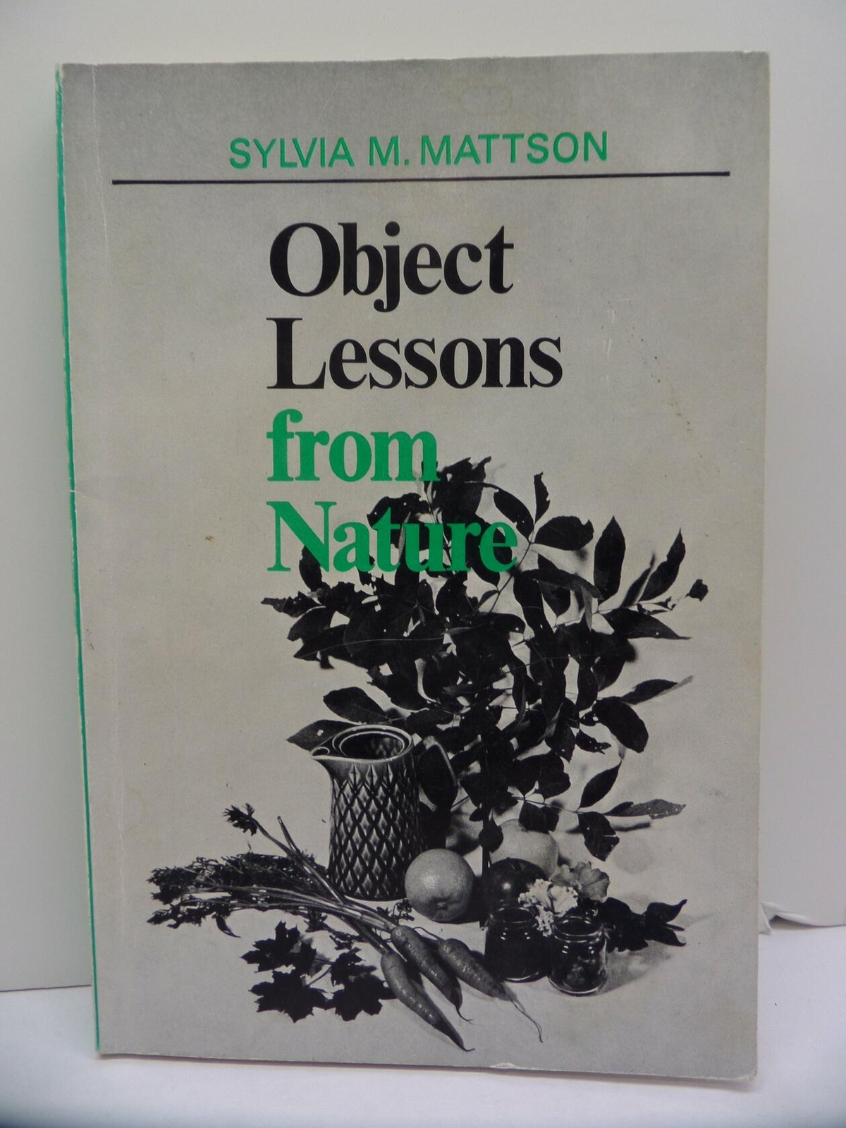 Object lessons from nature Mattson, Sylvia M