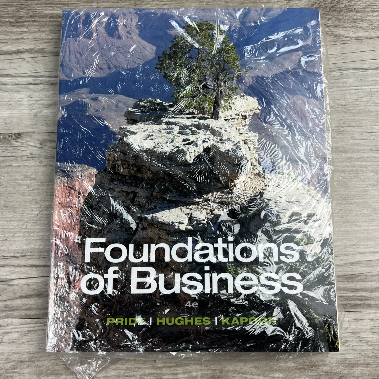 Foundations of Business – Standalone book by Pride, William M. , paperback