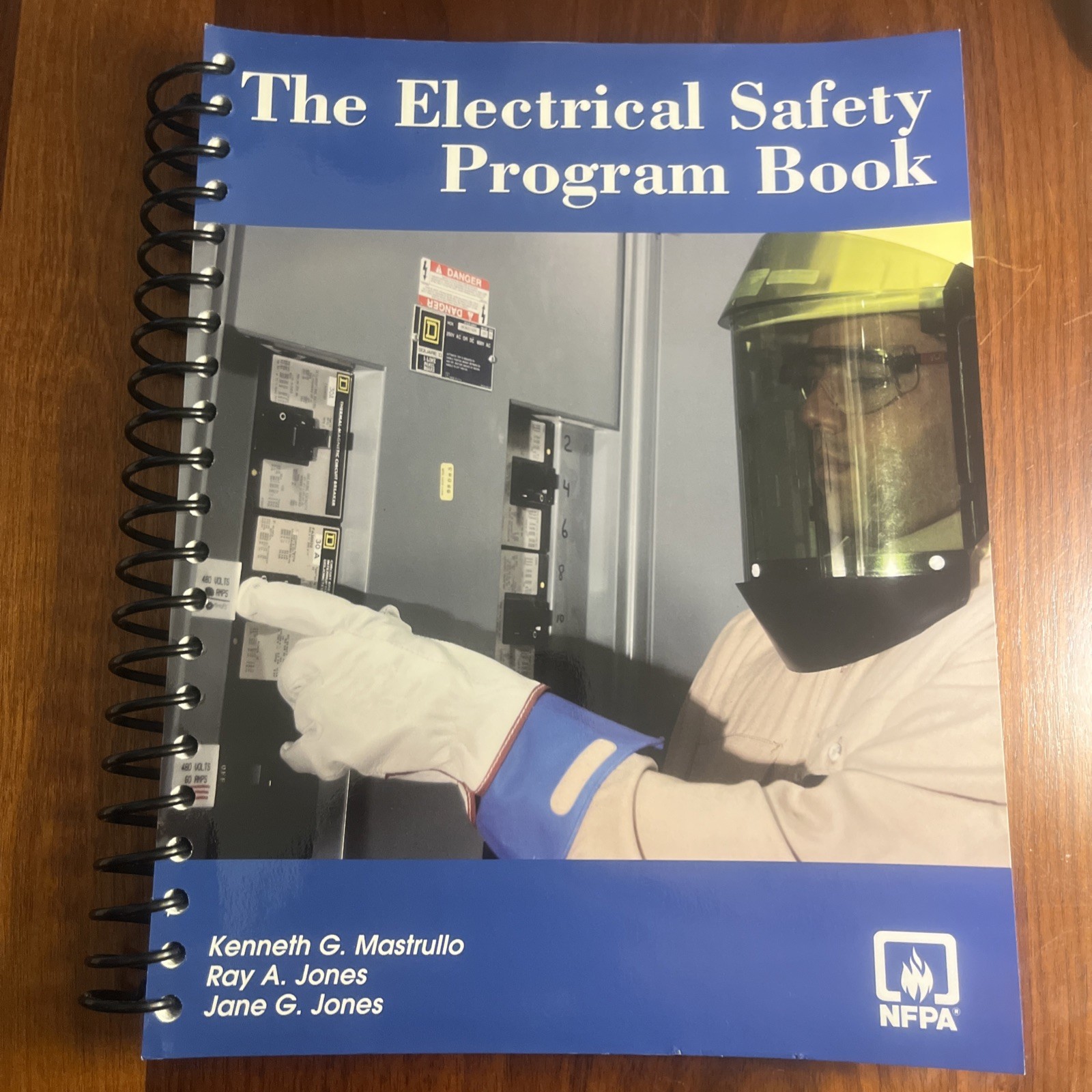 Electrical Safety Program Book by Ray A. Jones (2003, Trade Paperback)