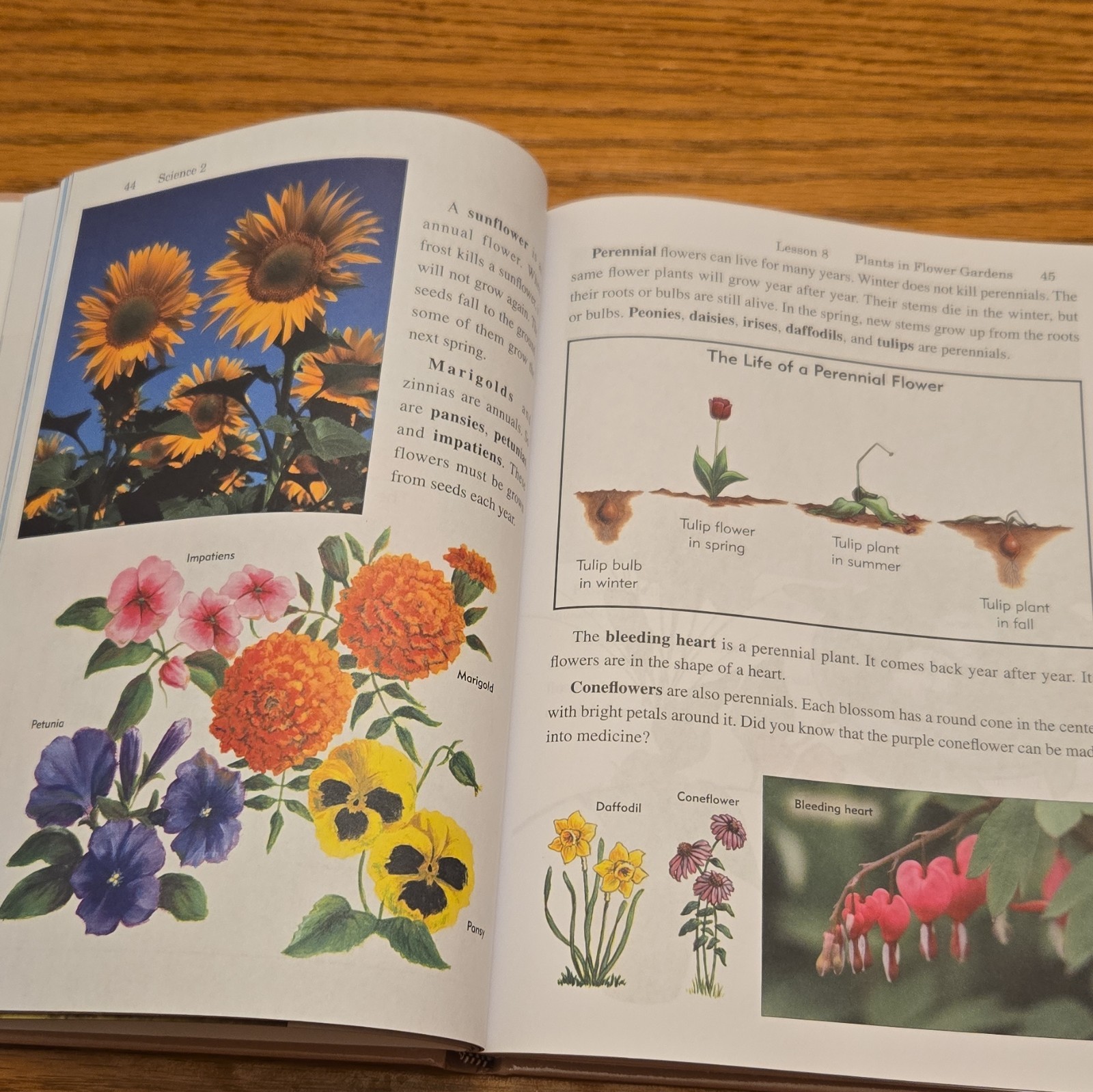 Rod and Staff Publishers God’s Created World Science 2 HC 2021 Illustrated