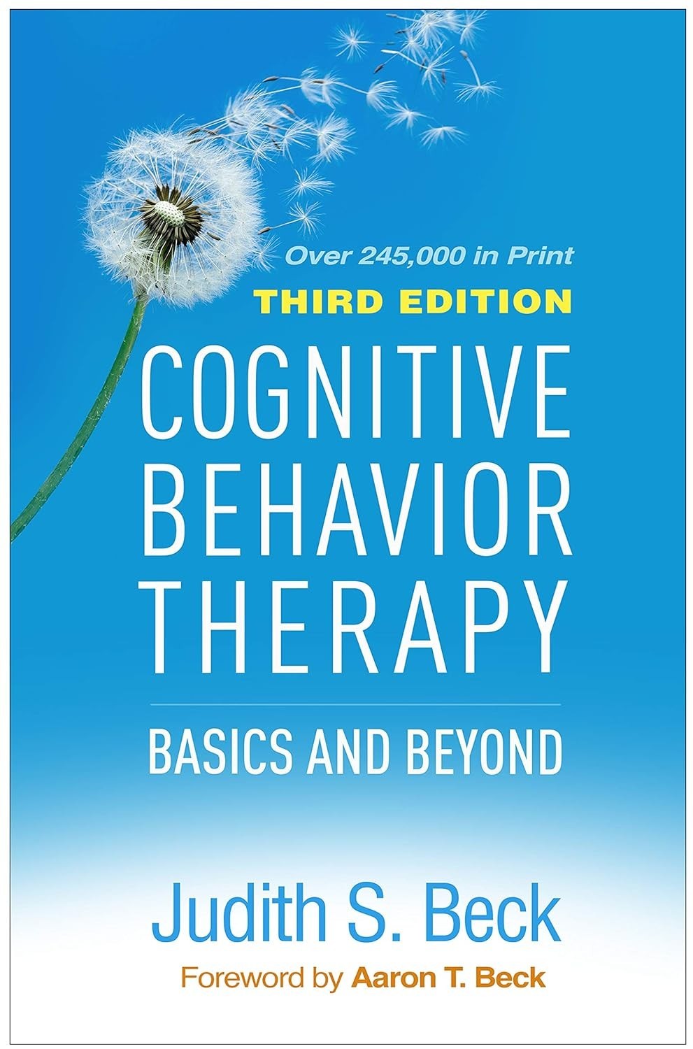 Cognitive Behavior Therapy : Basics and Beyond by Judith S. Beck HC