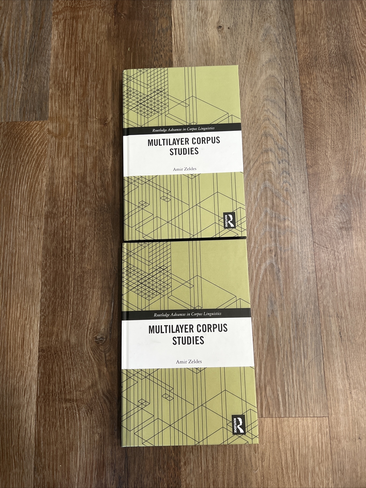 Routledge Advances in Corpus Linguistics Ser.: Multilayer Corpus Studies by Amir