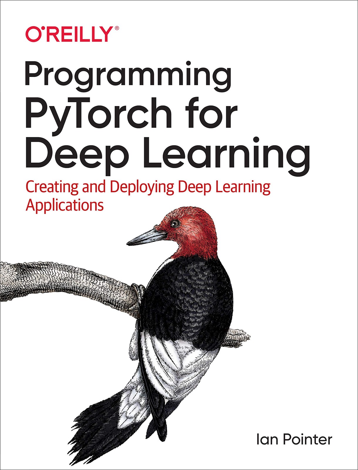 Programming PyTorch for Deep Learning: Creating and Deploying Deep Learning …