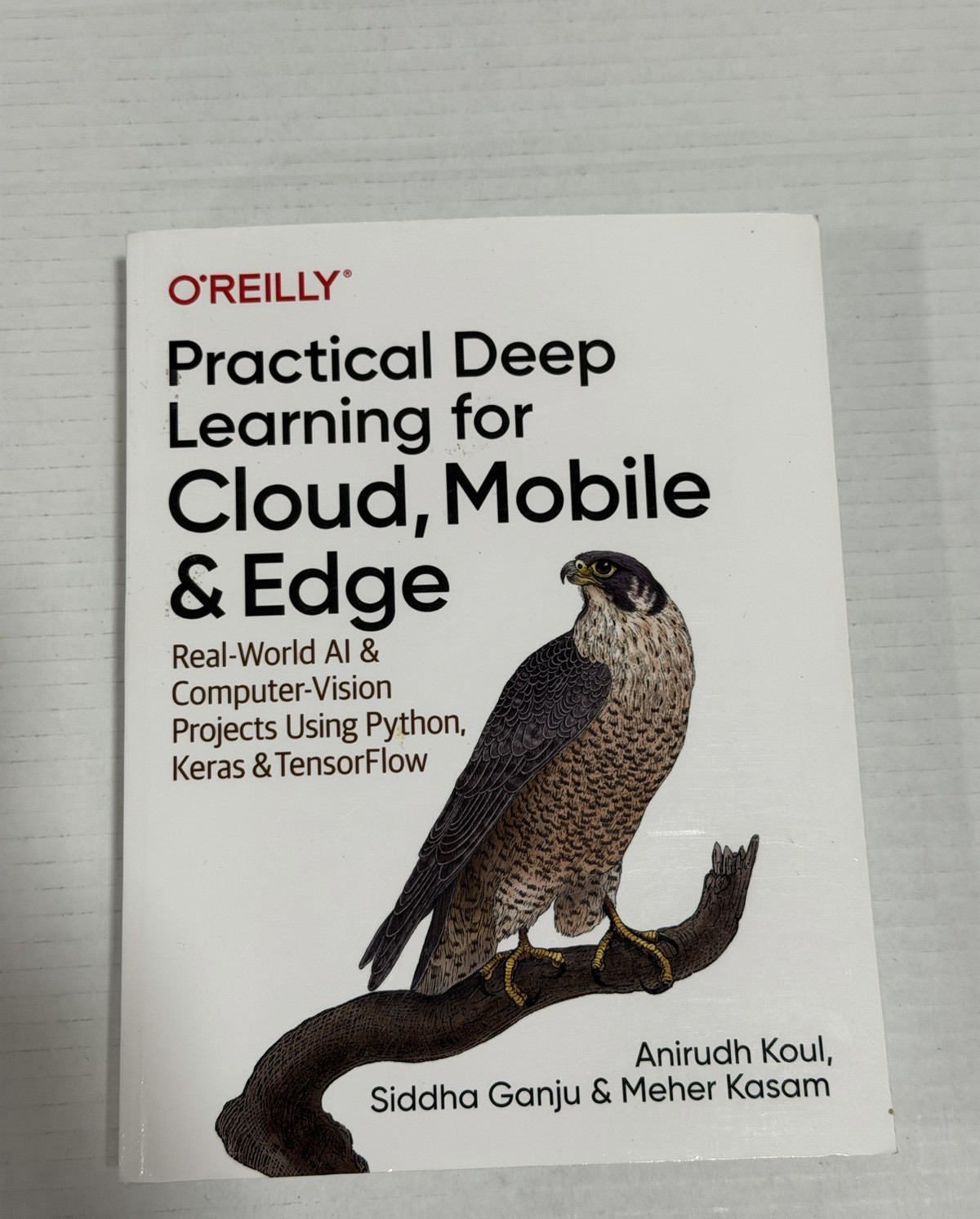 Practical Deep Learning for Cloud, Mobile, and Edge Trade Paper Back