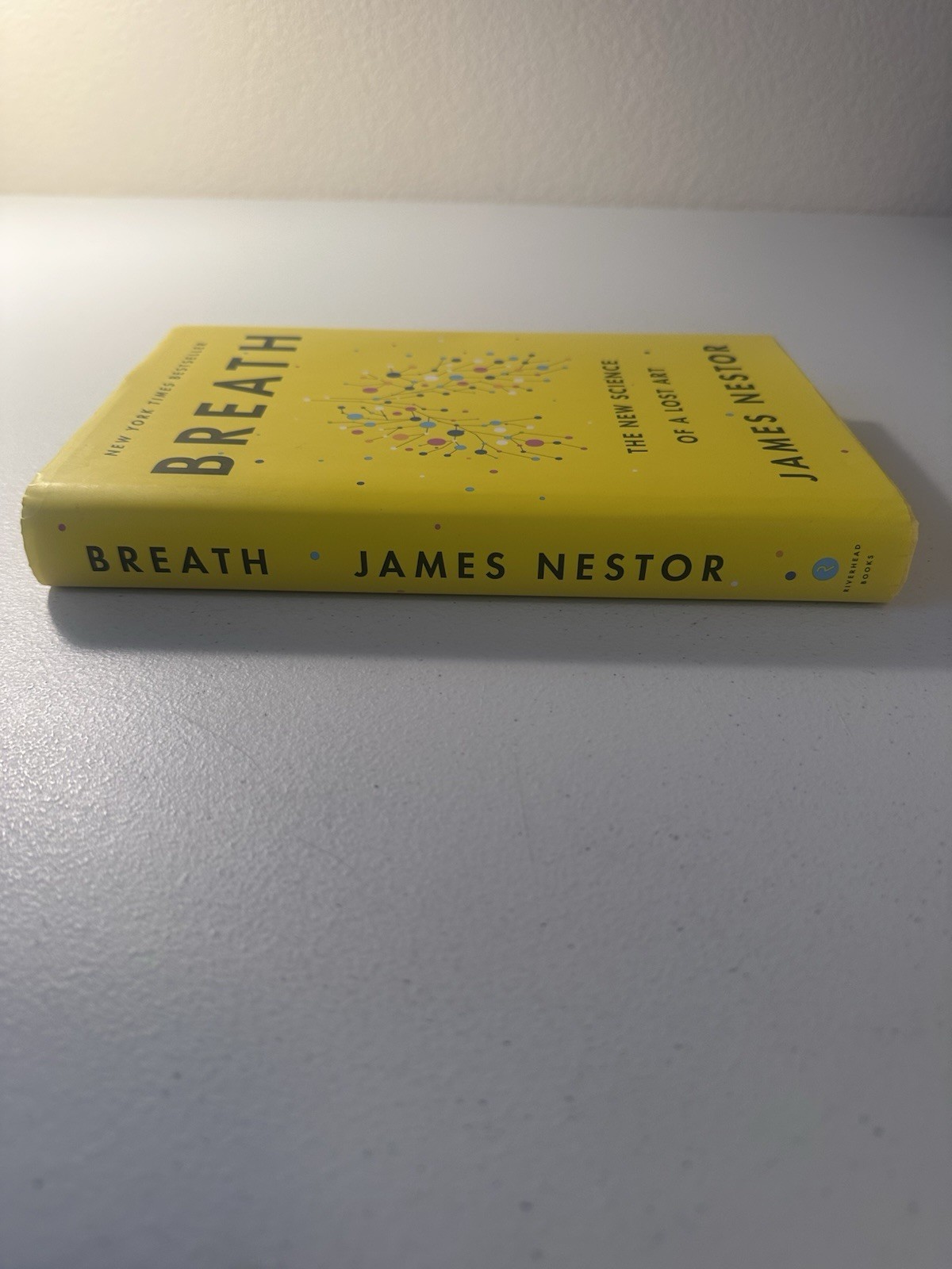 Breath: The New Science of a Lost Art; Nestor, James Breathing Methods Hardback