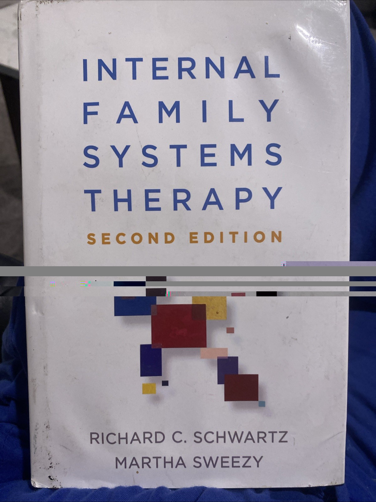 Internal Family Systems Therapy 2nd Ed Hardcover – Richard C. Schwartz