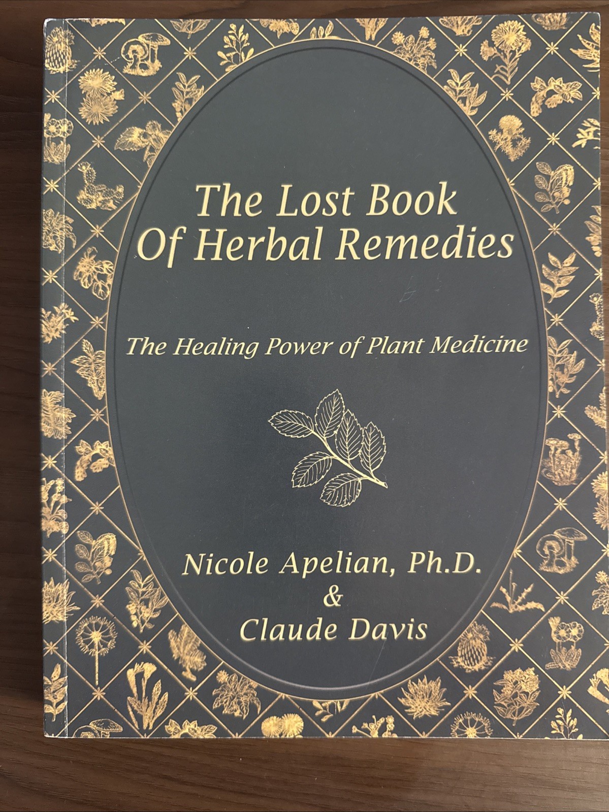 The Lost Book of Herbal Remedies