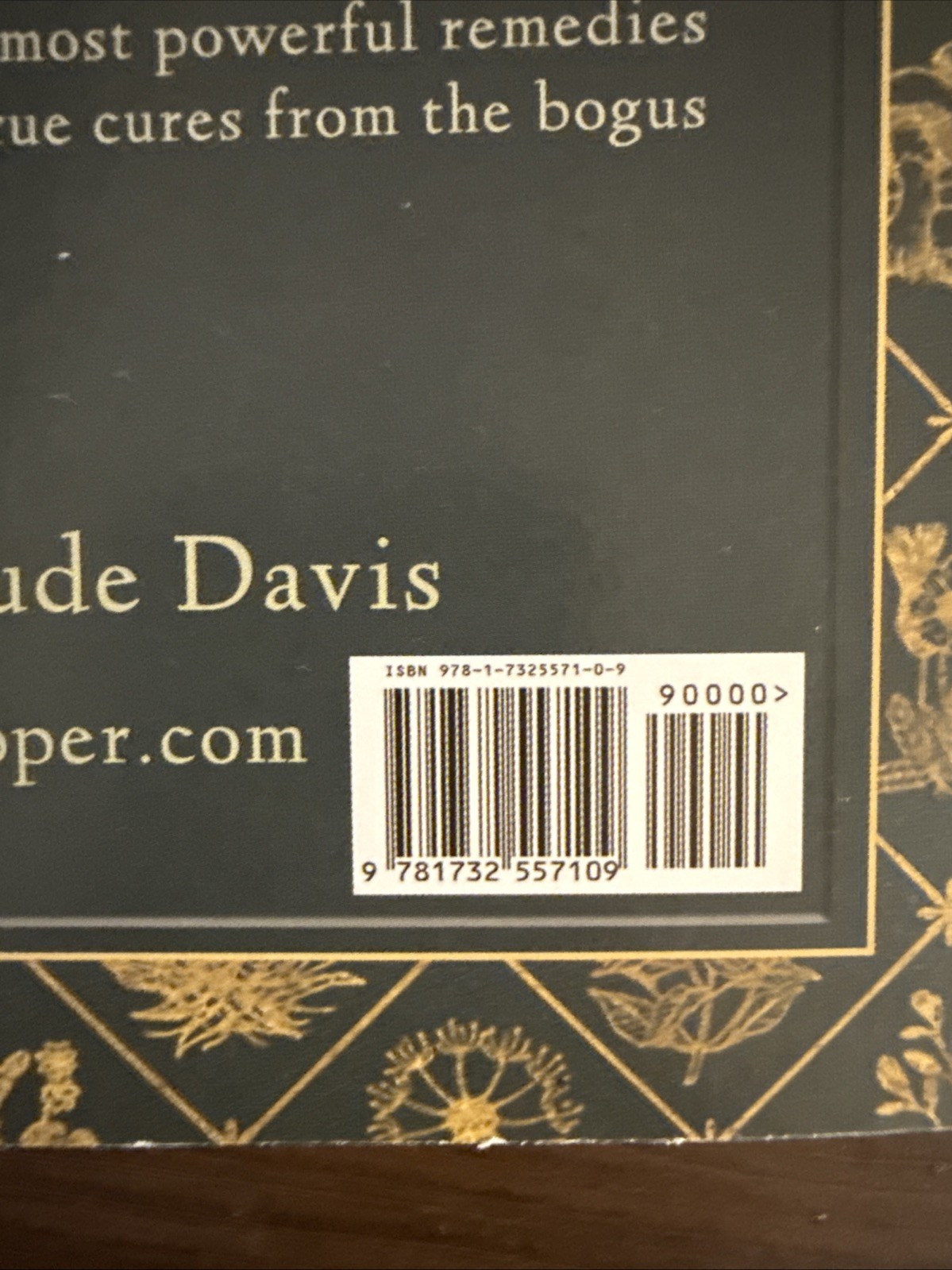 The Lost Book of Herbal Remedies