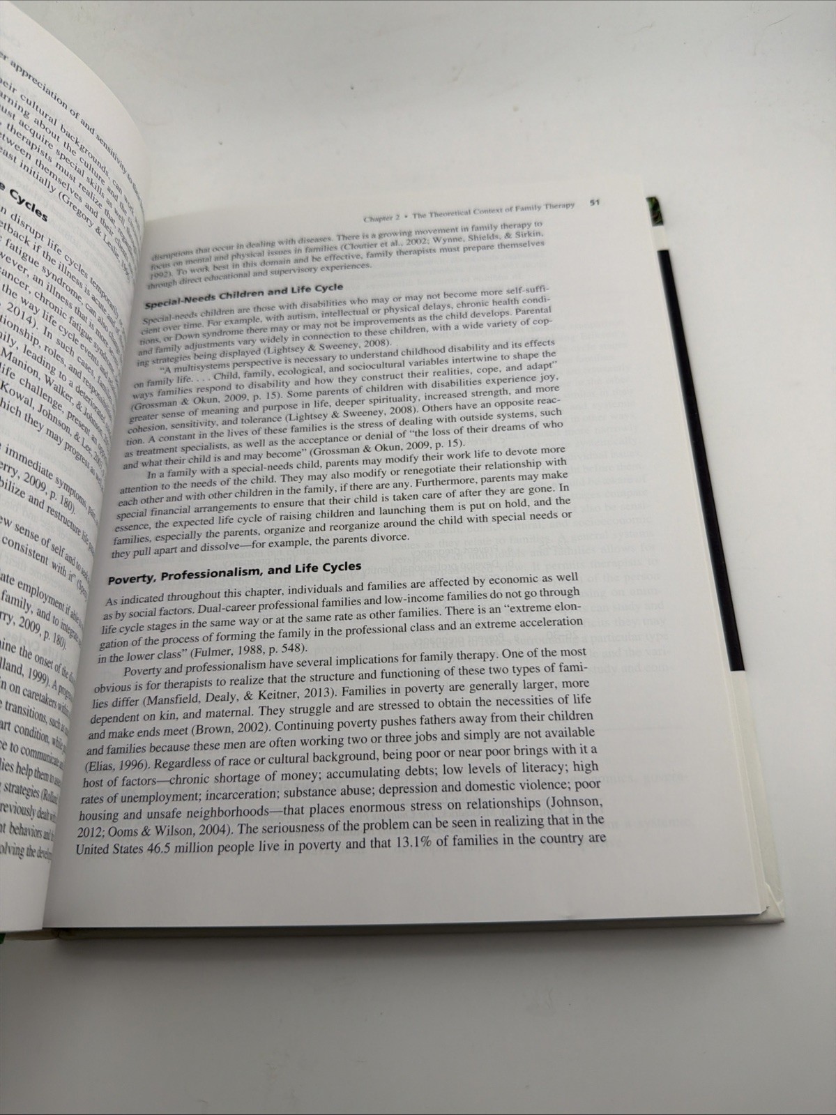 Family Therapy : History, Theory, and Practice Paperback Samuel G