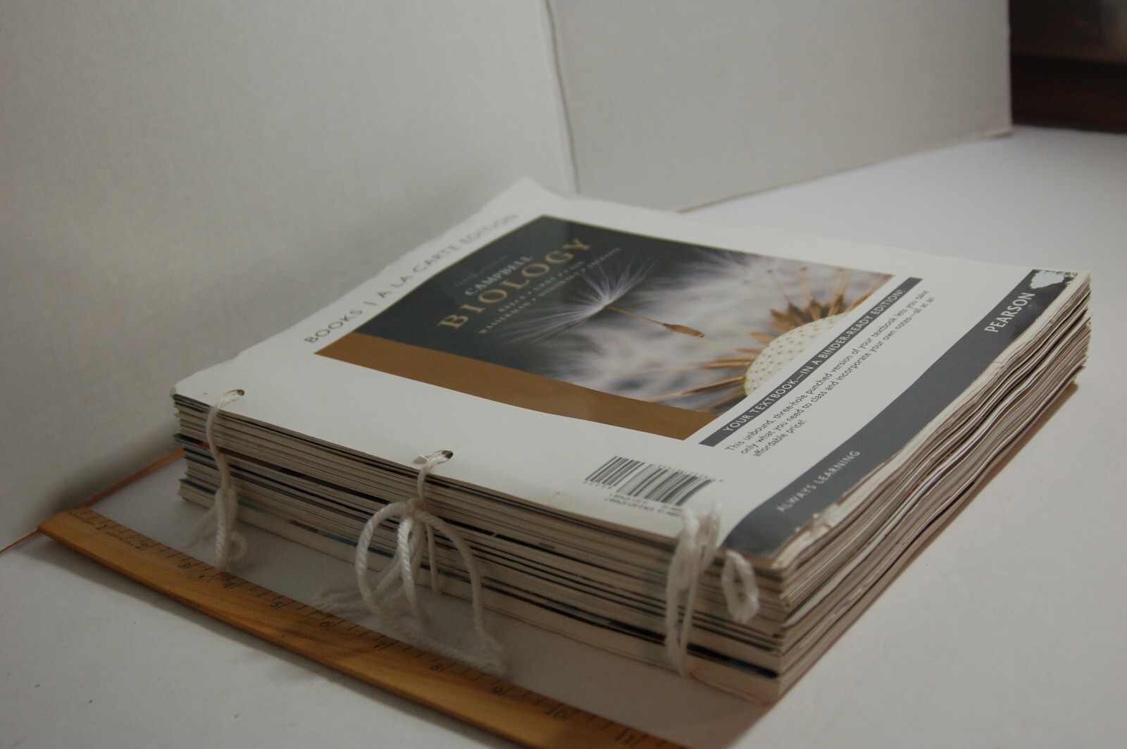 Campbell Biology 10th Edition Binder-ready Looseleaf Textbook Pearson A La Carte