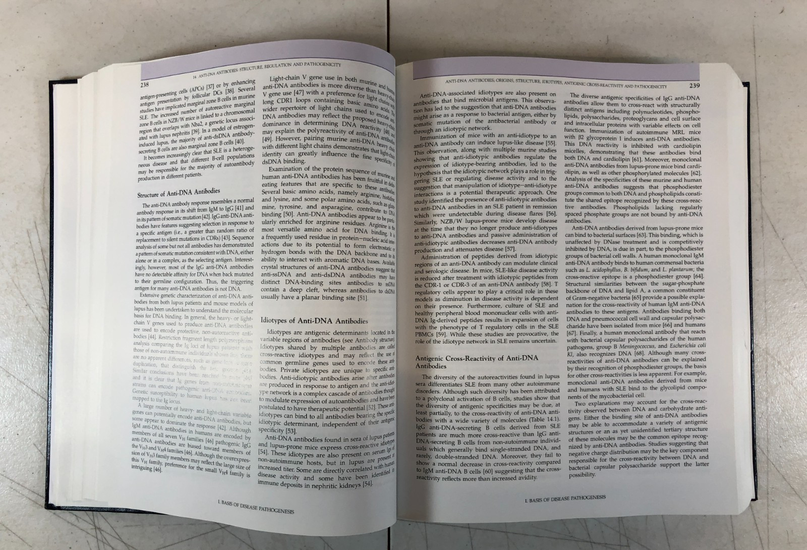 Systemic Lupus Erythematosus, Robert G. Lahita, 2011, EX-Library, E-123