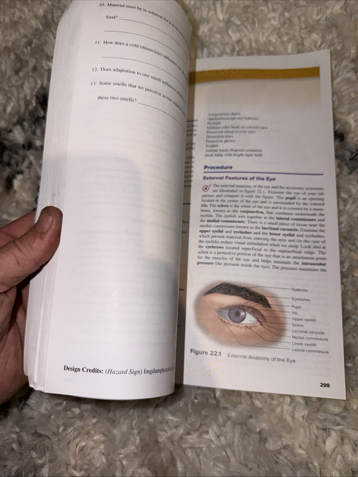 Seeley’s Anatomy & Physiology- Laboratory Manual- 13th Edition Spiral Paperback