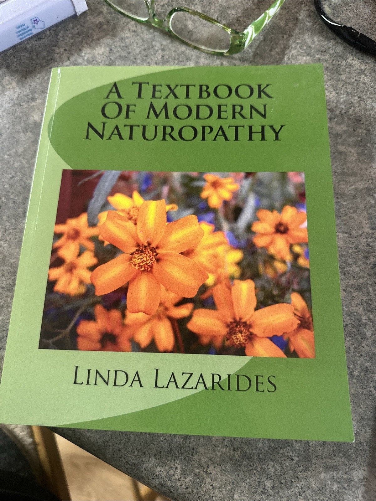 Textbook of Modern Naturopathy by Linda Lazarides (2010, Trade Paperback)