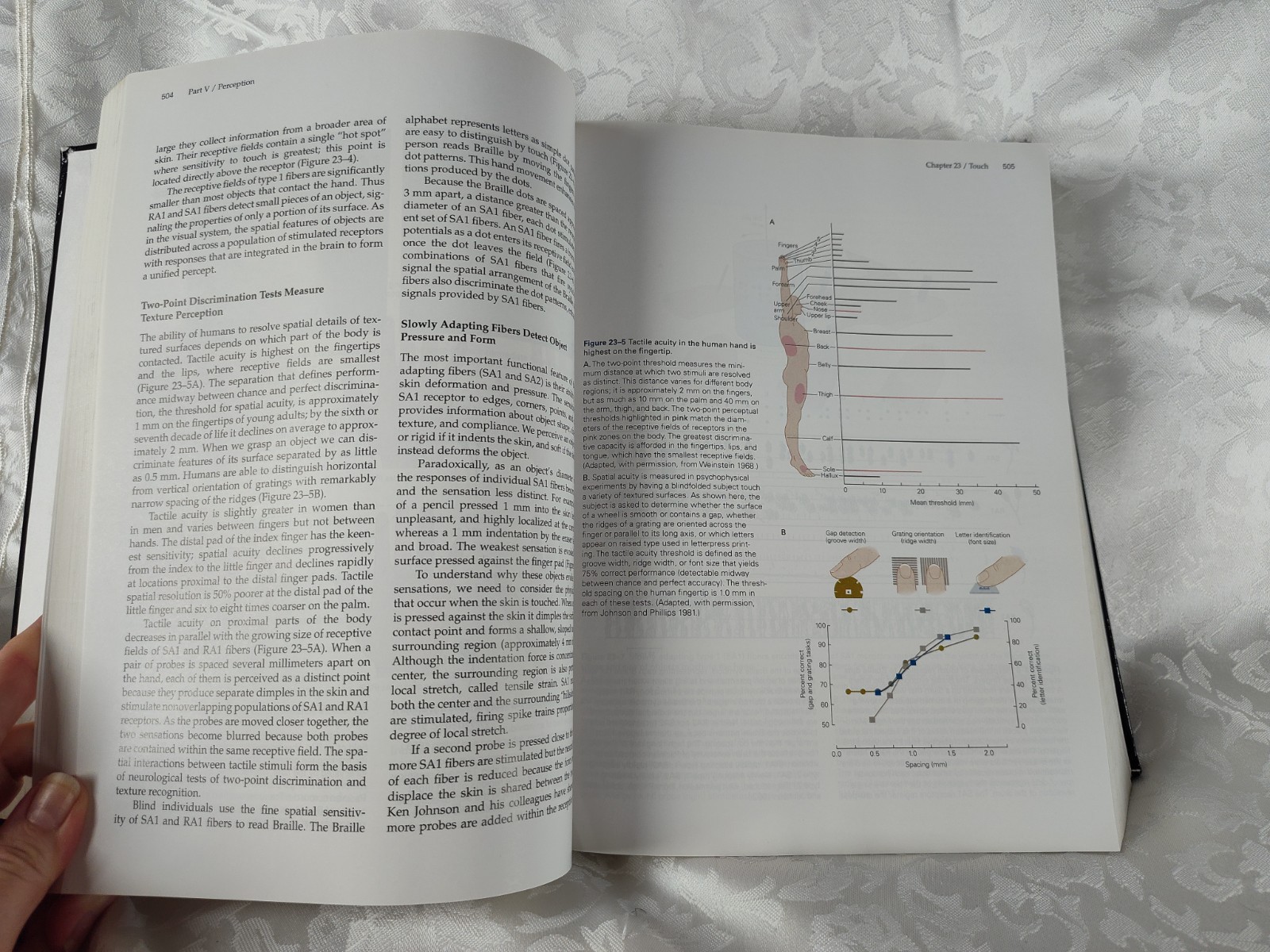Principles Of Neural Science Fifth Edition Thomas M. Jessell 9780071390118 ST36
