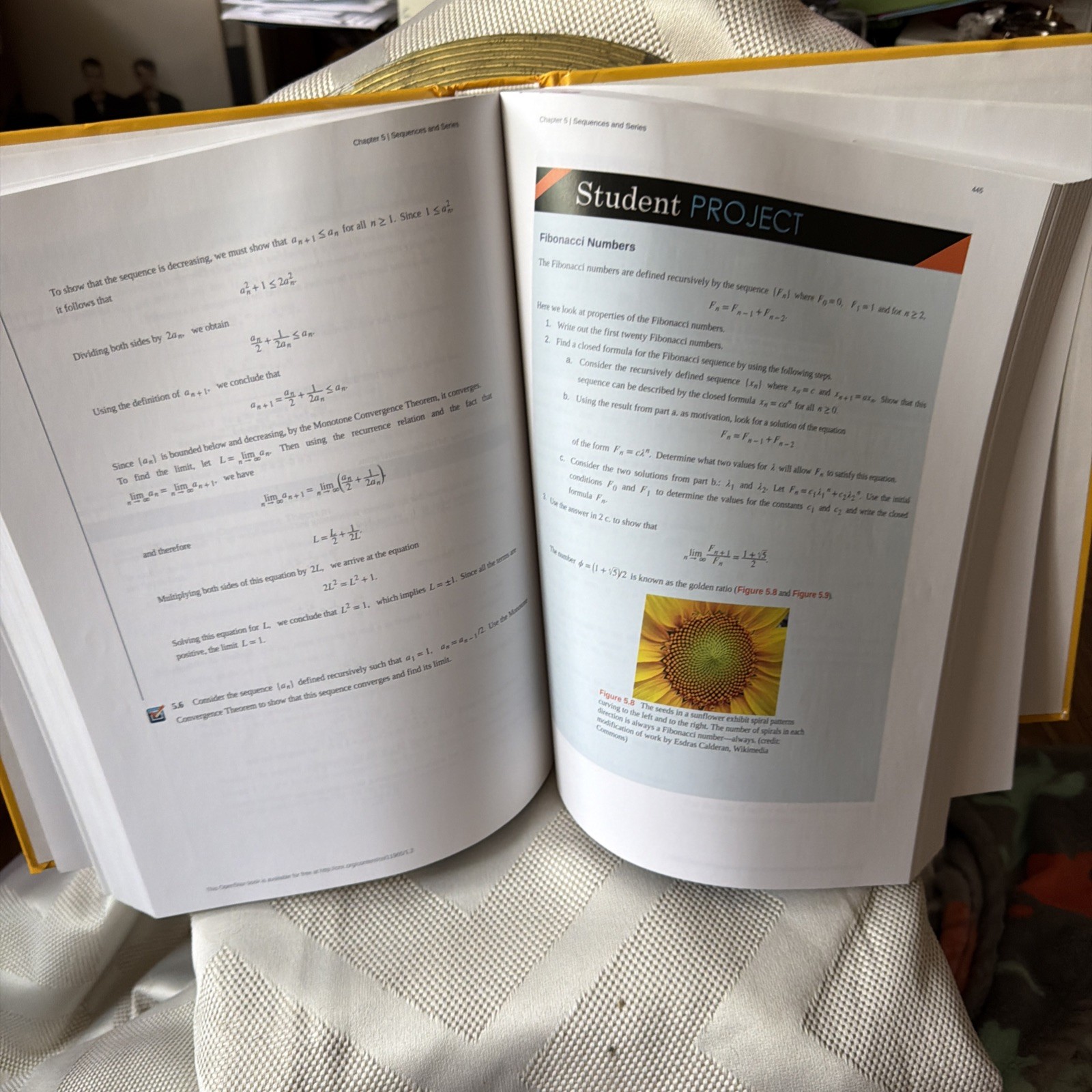 Calculus Volume 1 by OpenStax (Official Print Version, hardcover, full color