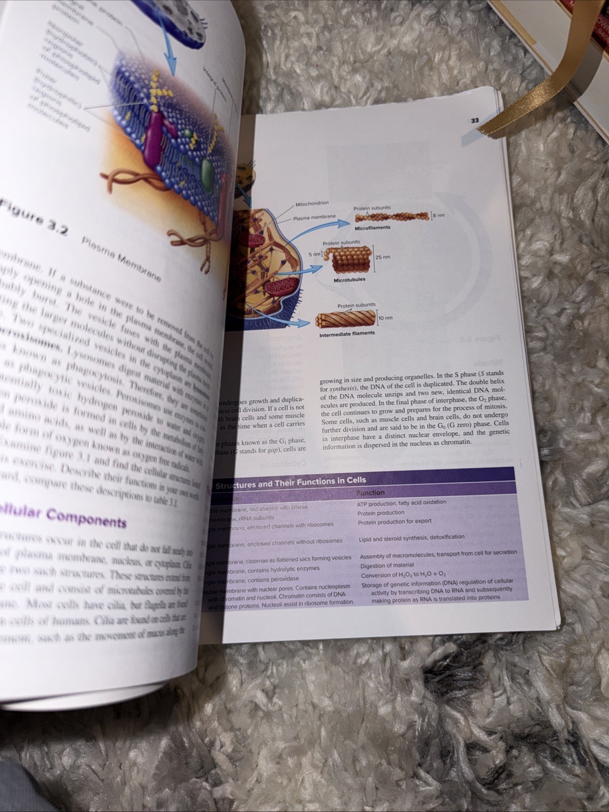 Seeley’s Anatomy & Physiology- Laboratory Manual- 13th Edition Spiral Paperback