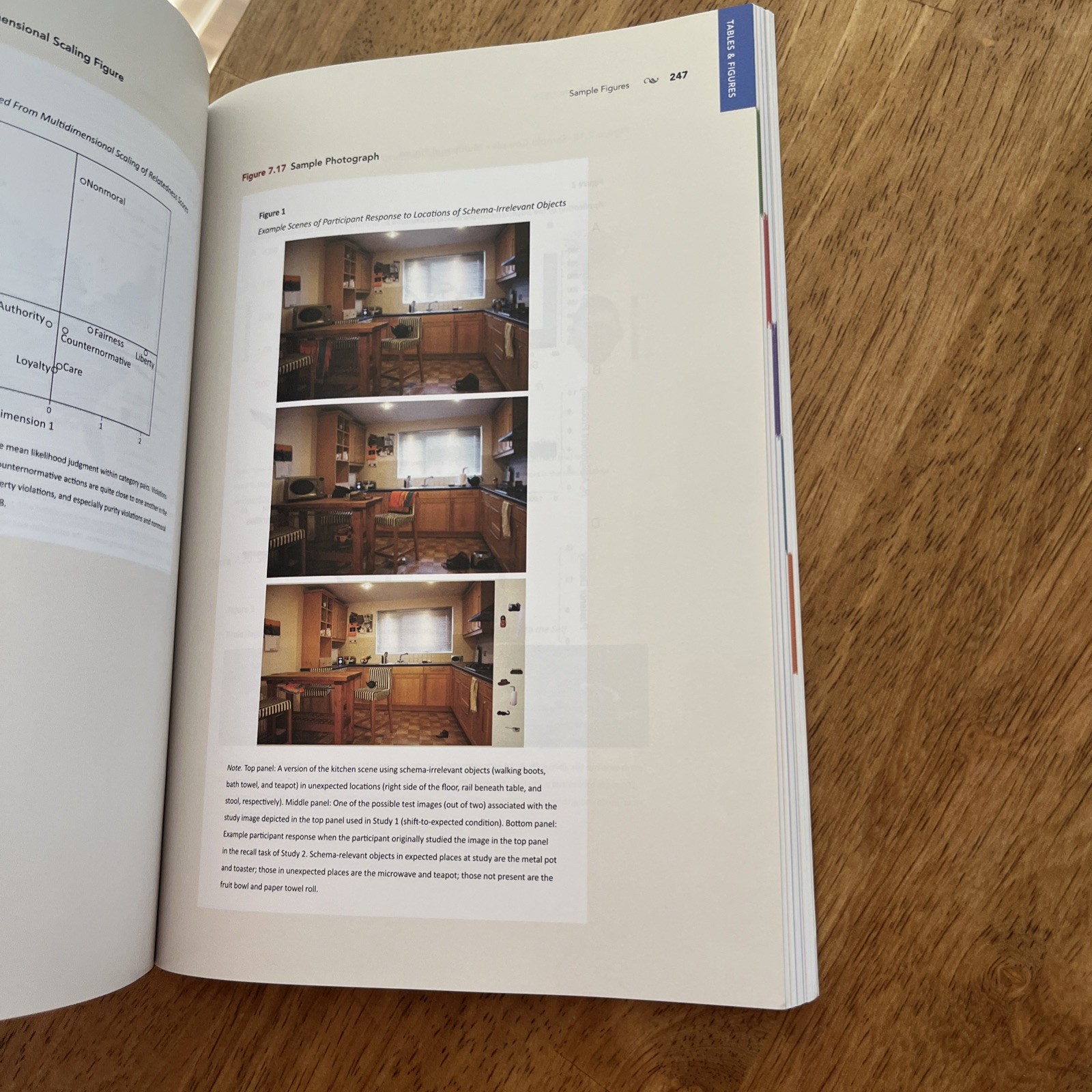 Publication Manual Official Guide 7th Edition of the American Psychological Ass.