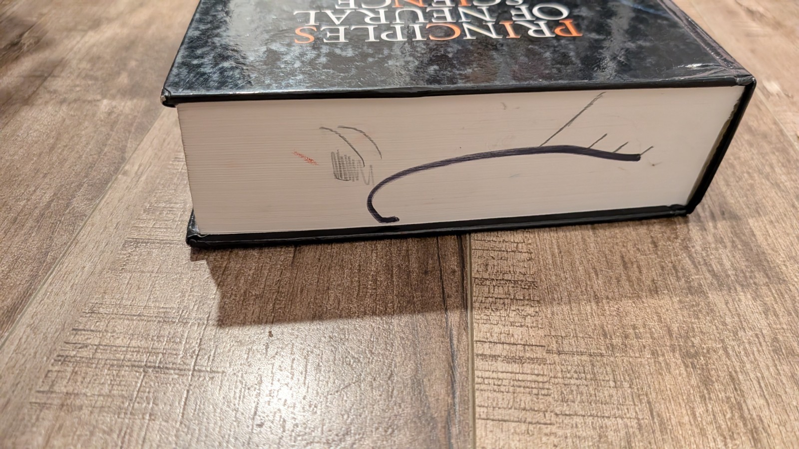 Principles of Neural Science, Fifth Edition (Principles of Neural Science
