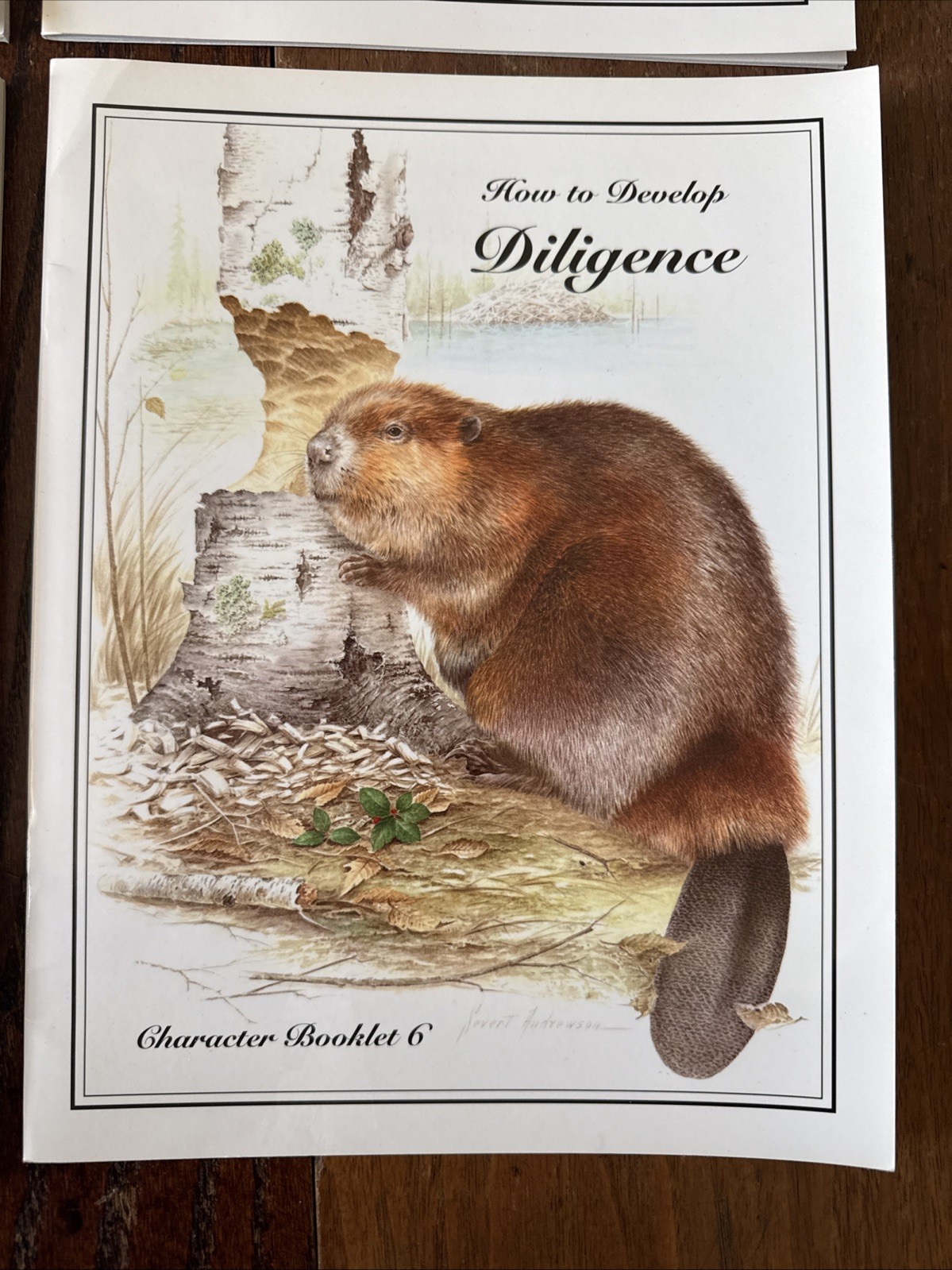 IBLP Character Booklet 1-6, How To Develop Set