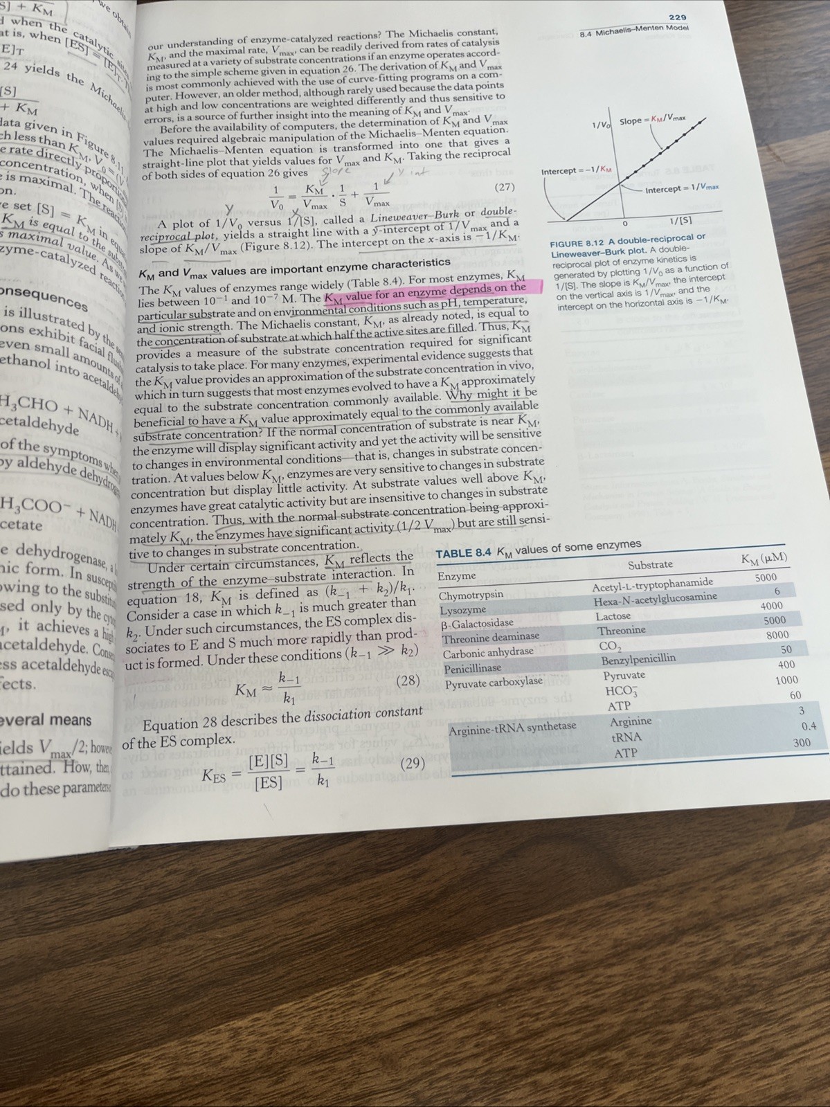Biochemistry by John L. Tymoczko, Lubert Stryer, Jeremy M. Berg and Gregory…
