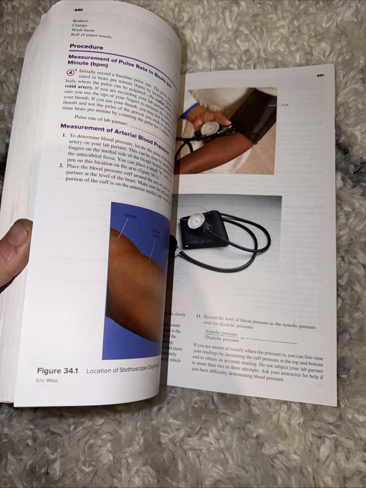 Seeley’s Anatomy & Physiology- Laboratory Manual- 13th Edition Spiral Paperback