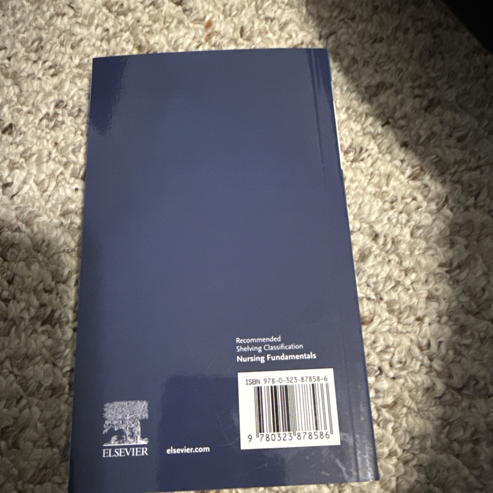 Clinical Companion for Fundamentals of Nursing by Patricia A. Stockert, Patricia