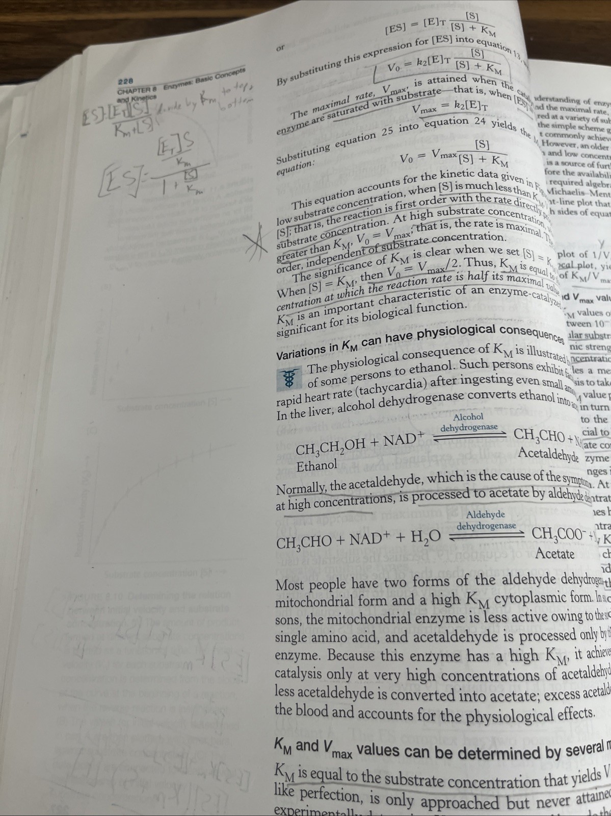 Biochemistry by John L. Tymoczko, Lubert Stryer, Jeremy M. Berg and Gregory…