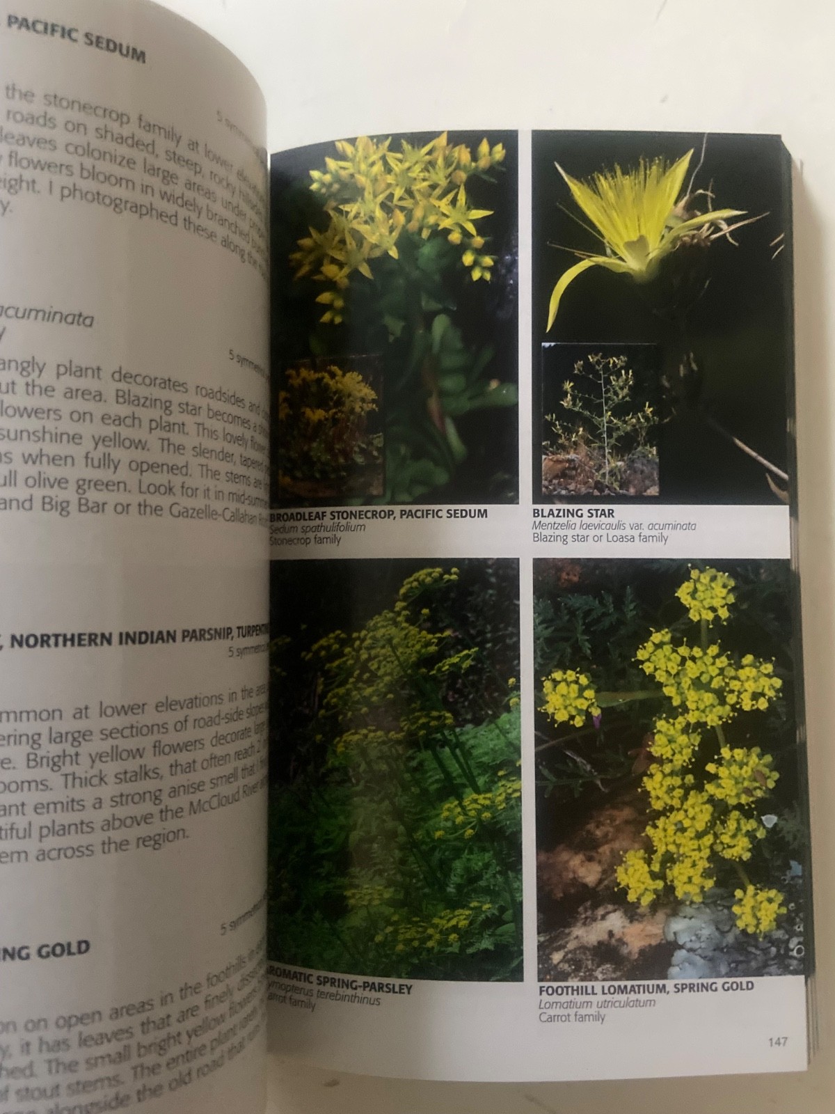 SIGNED ~ Ken DeCamp ~ Wildflowers of the Trinity Alps ( 2017, Paperback)