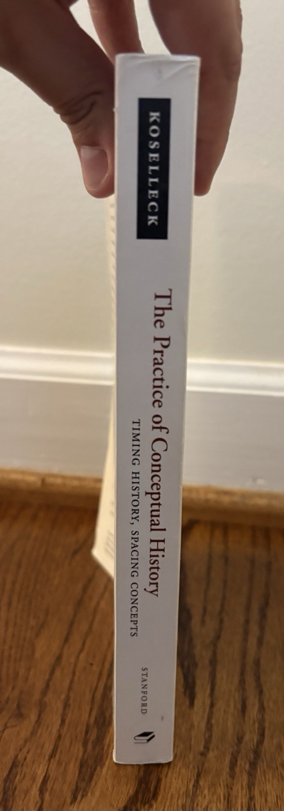The Practice of Conceptual History -Reinhart Koselleck (2002, Paperback)