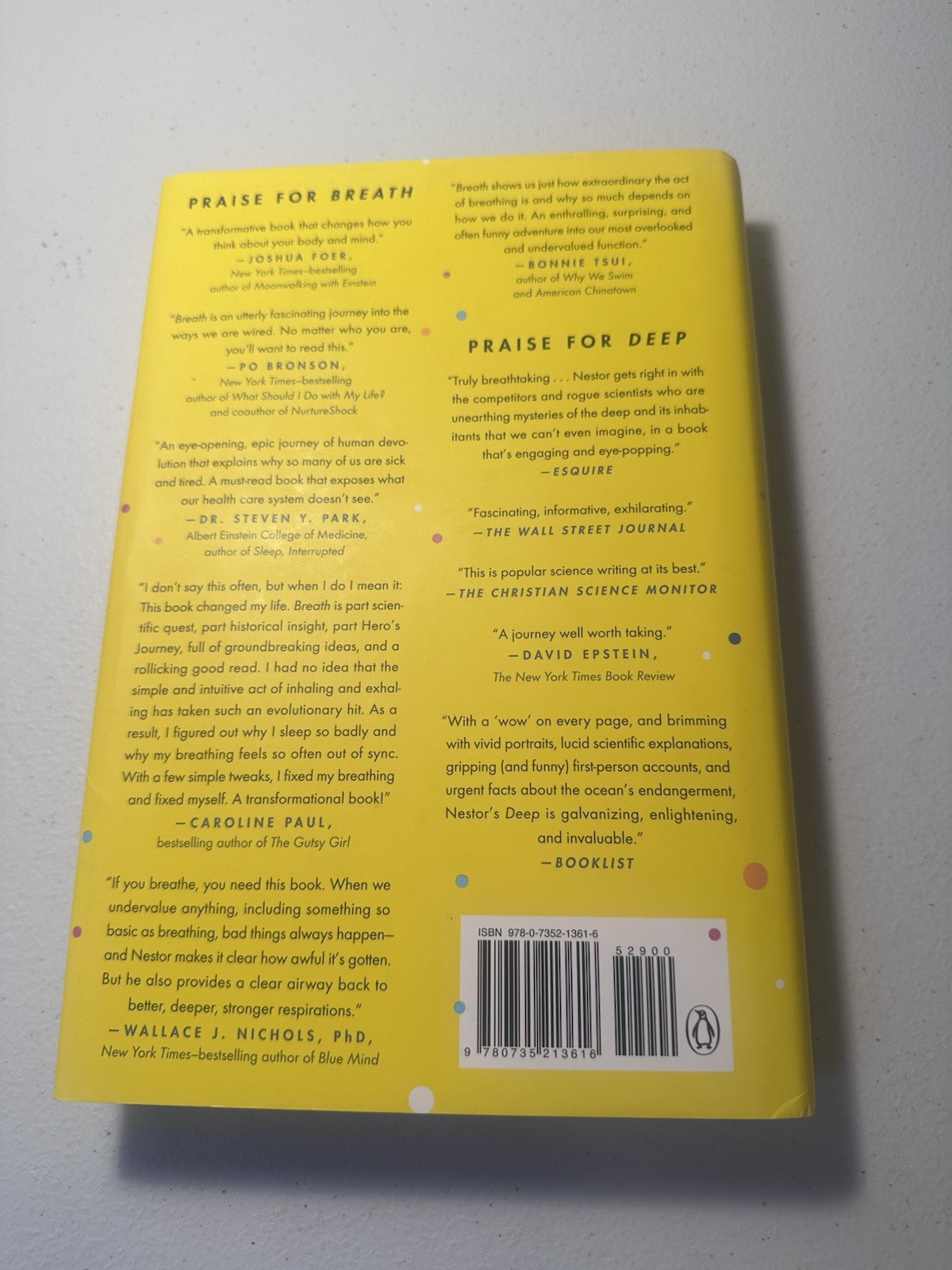 Breath: The New Science of a Lost Art; Nestor, James Breathing Methods Hardback