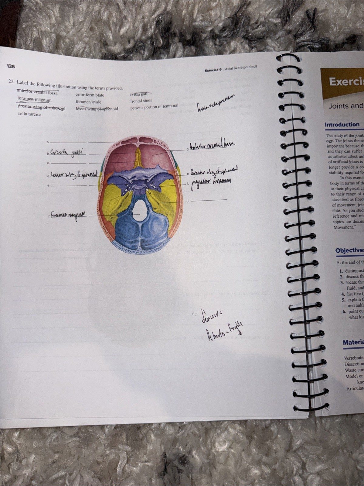Seeley’s Anatomy & Physiology- Laboratory Manual- 13th Edition Spiral Paperback