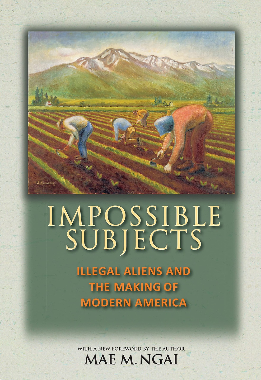 Impossible Subjects: Illegal Aliens and the Making of Modern America – Updat…