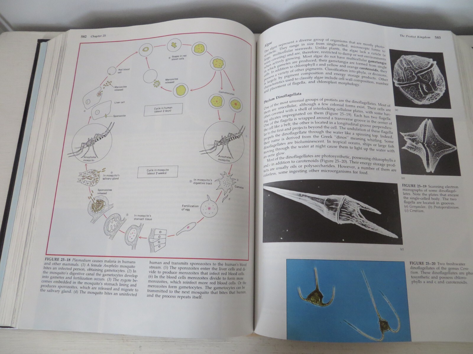 Biology Second Edition Hardcover Collegiate Textbook – 1,455 Pages Total
