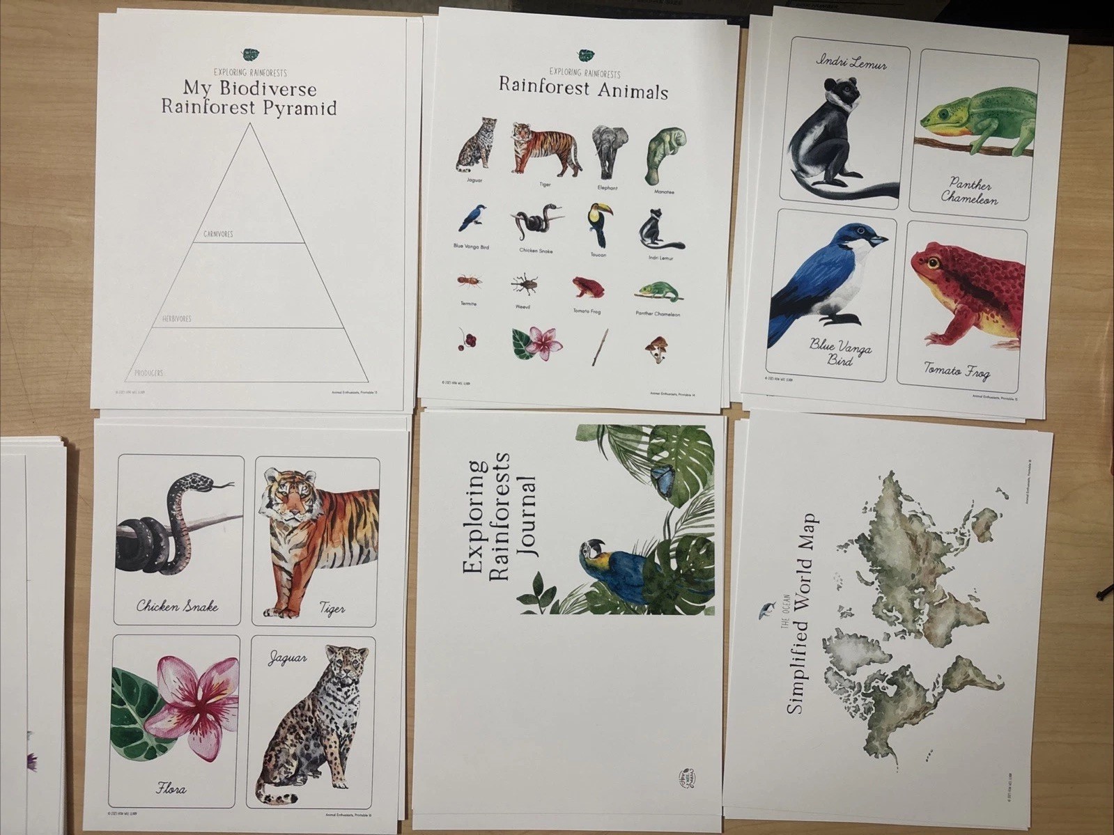 How Wee Learn Homeschool Curriculum Printables Kindergarten Science Animals Set