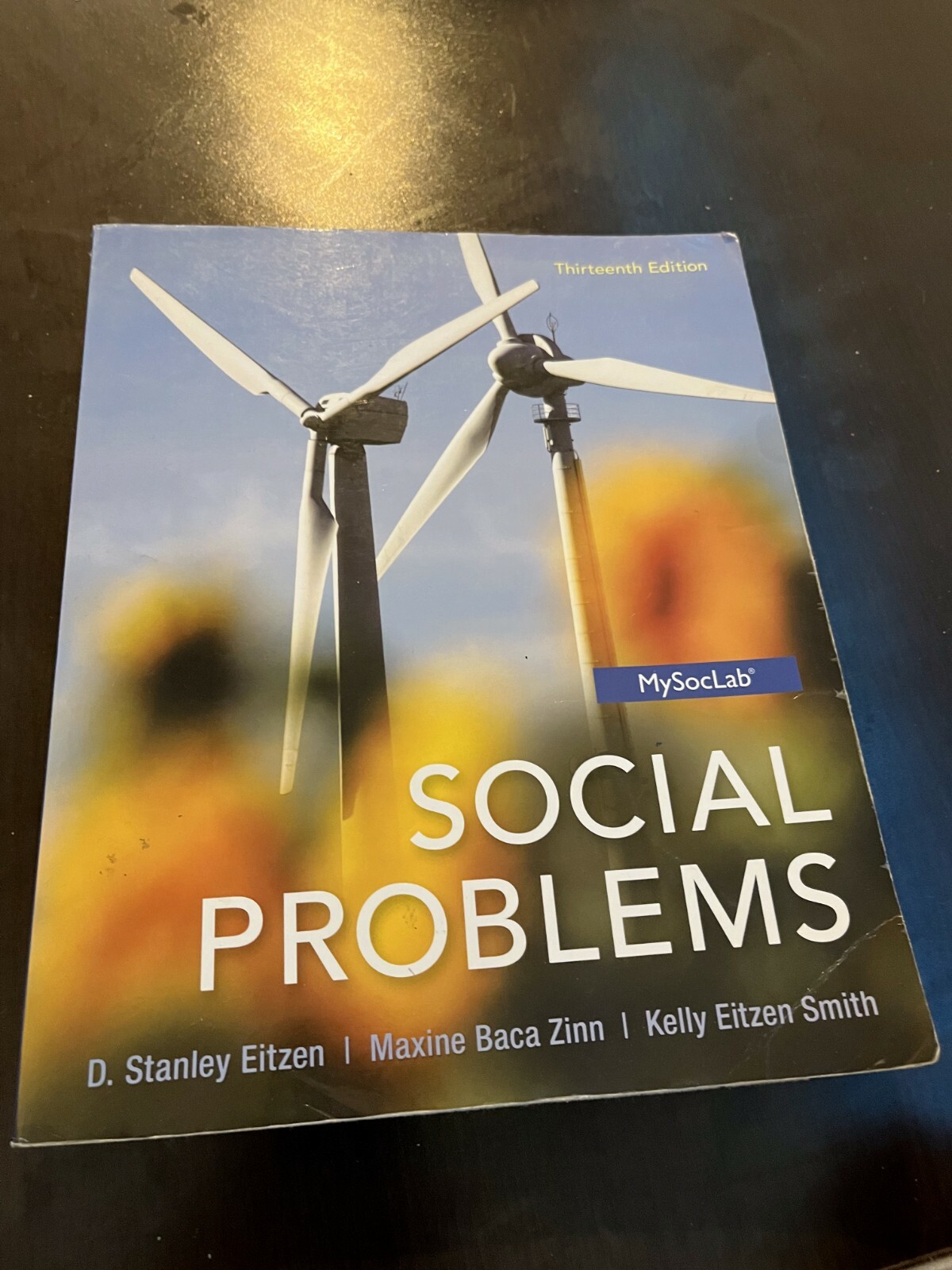 Social Problems by Stanley Eitzen Thirteenth Edition MySocLab Like New 