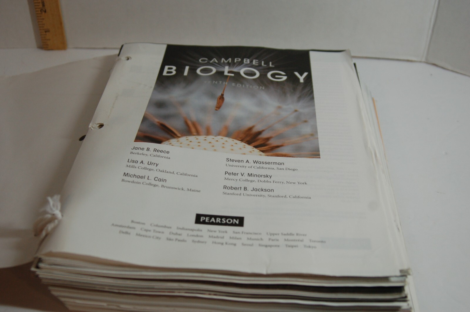 Campbell Biology 10th Edition Binder-ready Looseleaf Textbook Pearson A La Carte