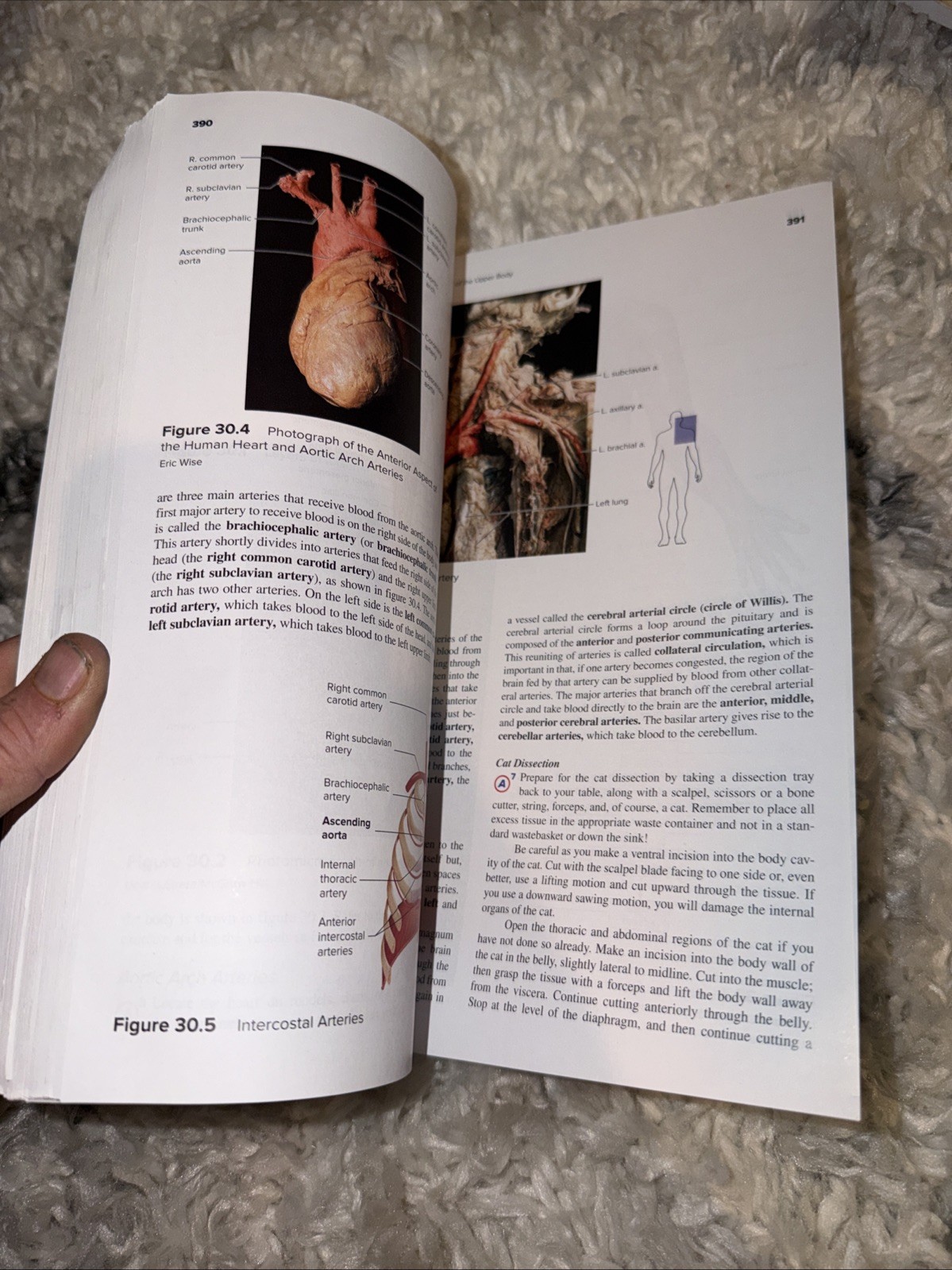 Seeley’s Anatomy & Physiology- Laboratory Manual- 13th Edition Spiral Paperback