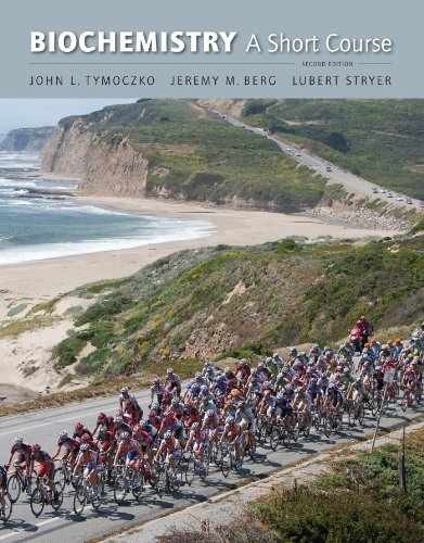 Biochemistry: A Short Course, 2nd – Paperback, by Tymoczko John L.; – Very Good