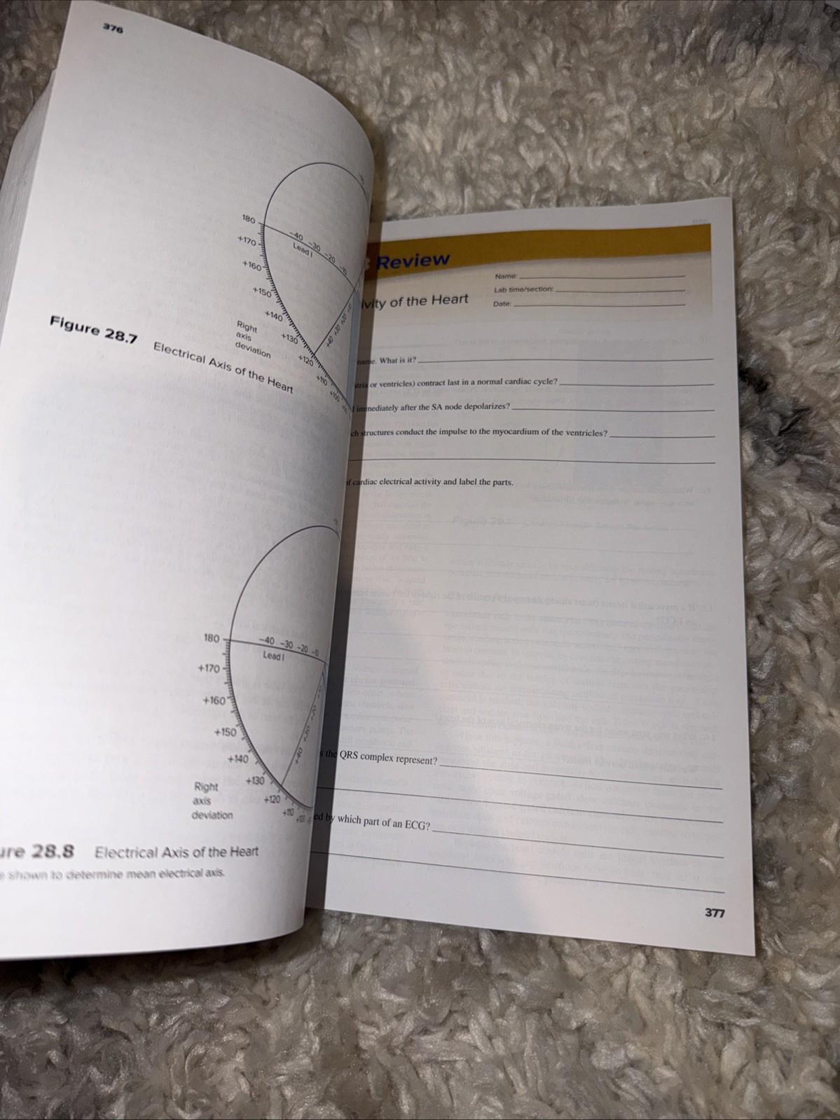 Seeley’s Anatomy & Physiology- Laboratory Manual- 13th Edition Spiral Paperback