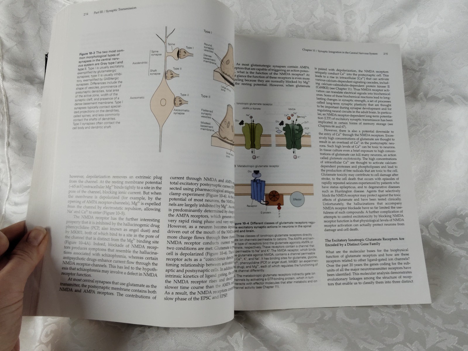 Principles Of Neural Science Fifth Edition Thomas M. Jessell 9780071390118 ST36