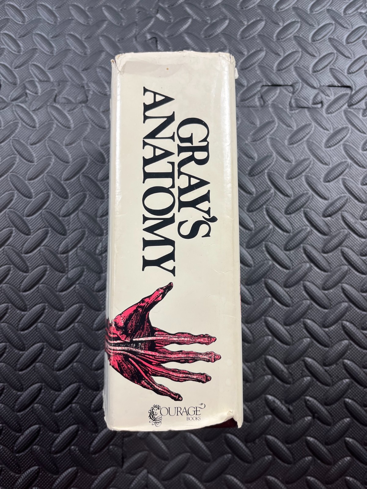 Gray’s Anatomy : The Unabridged Running Press Edition of the Amer