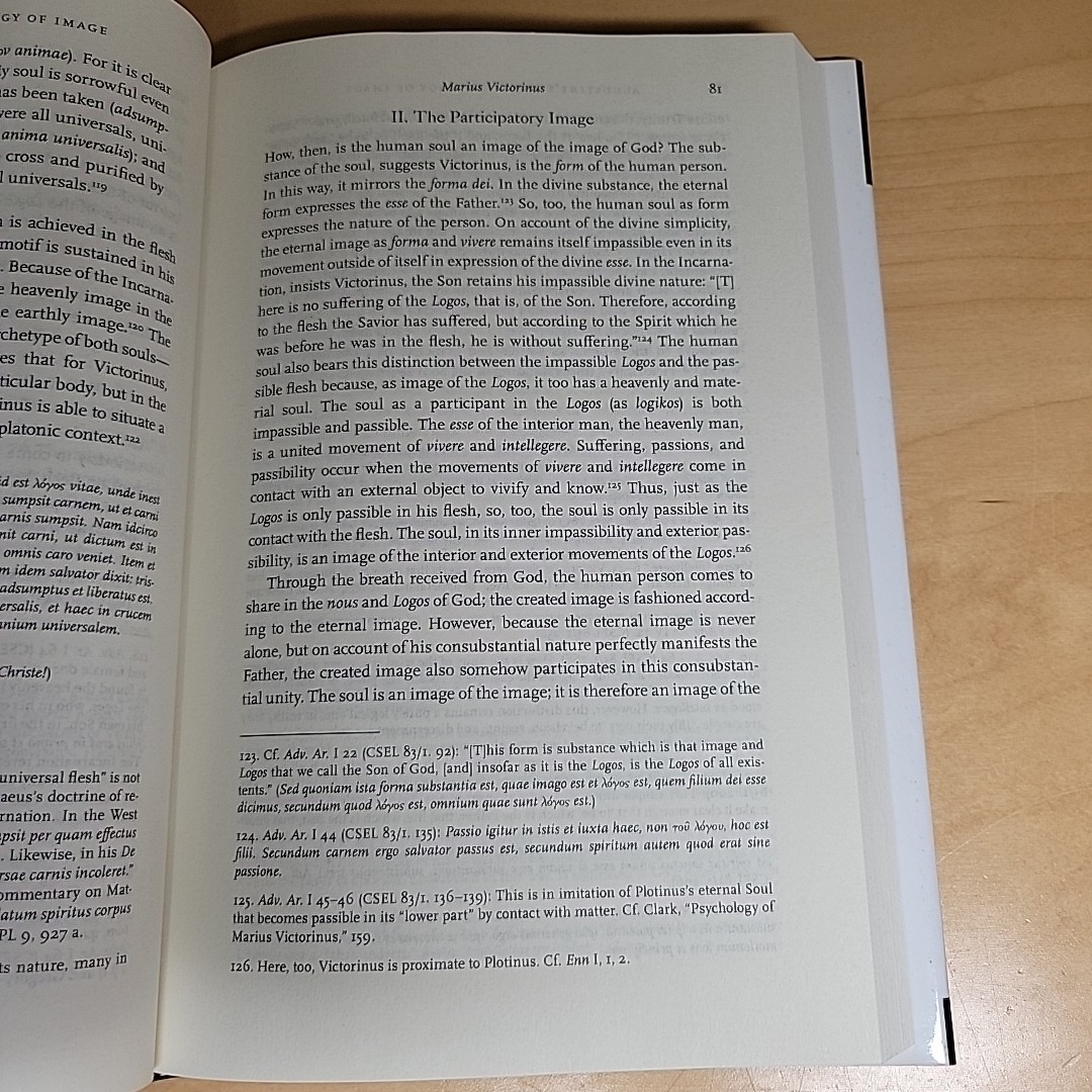 Augustine’s Early Theology of Image A Study In The Development P. Gerald Boersma