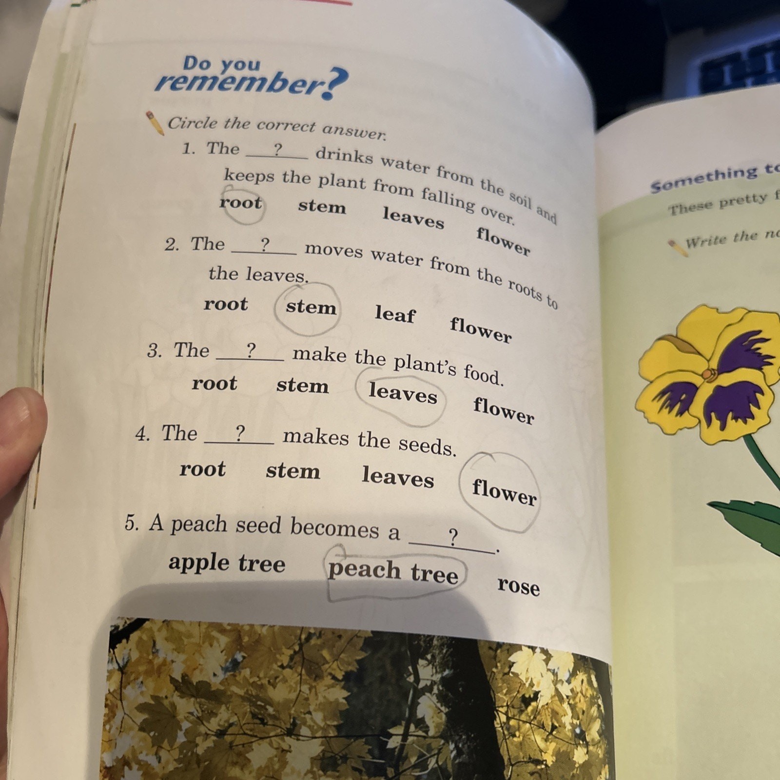 A Beka Science Reader Discovering God’s World 1st Grade Abeka 1 Book