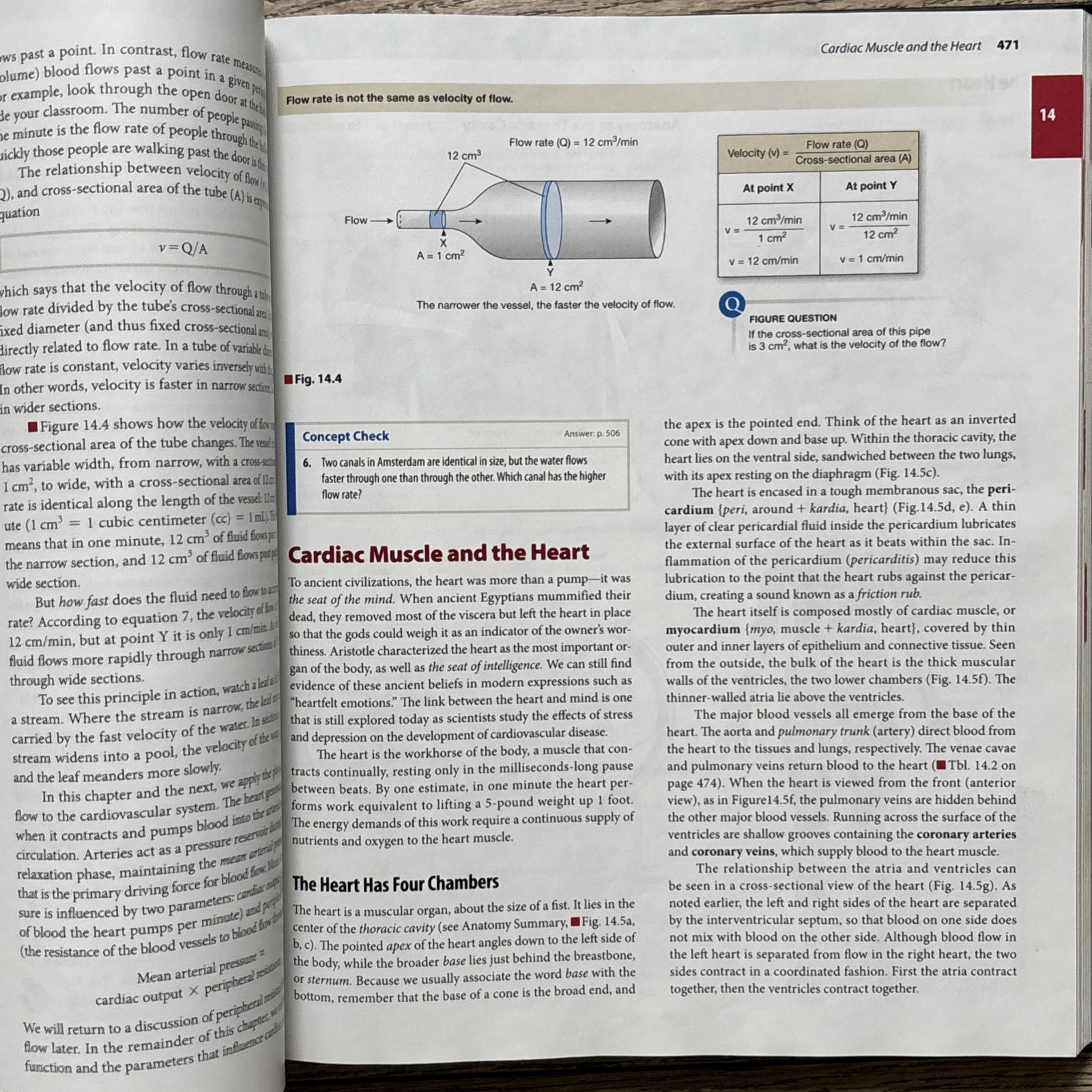 Human Physiology: An Integrated Approach (6th Edition)