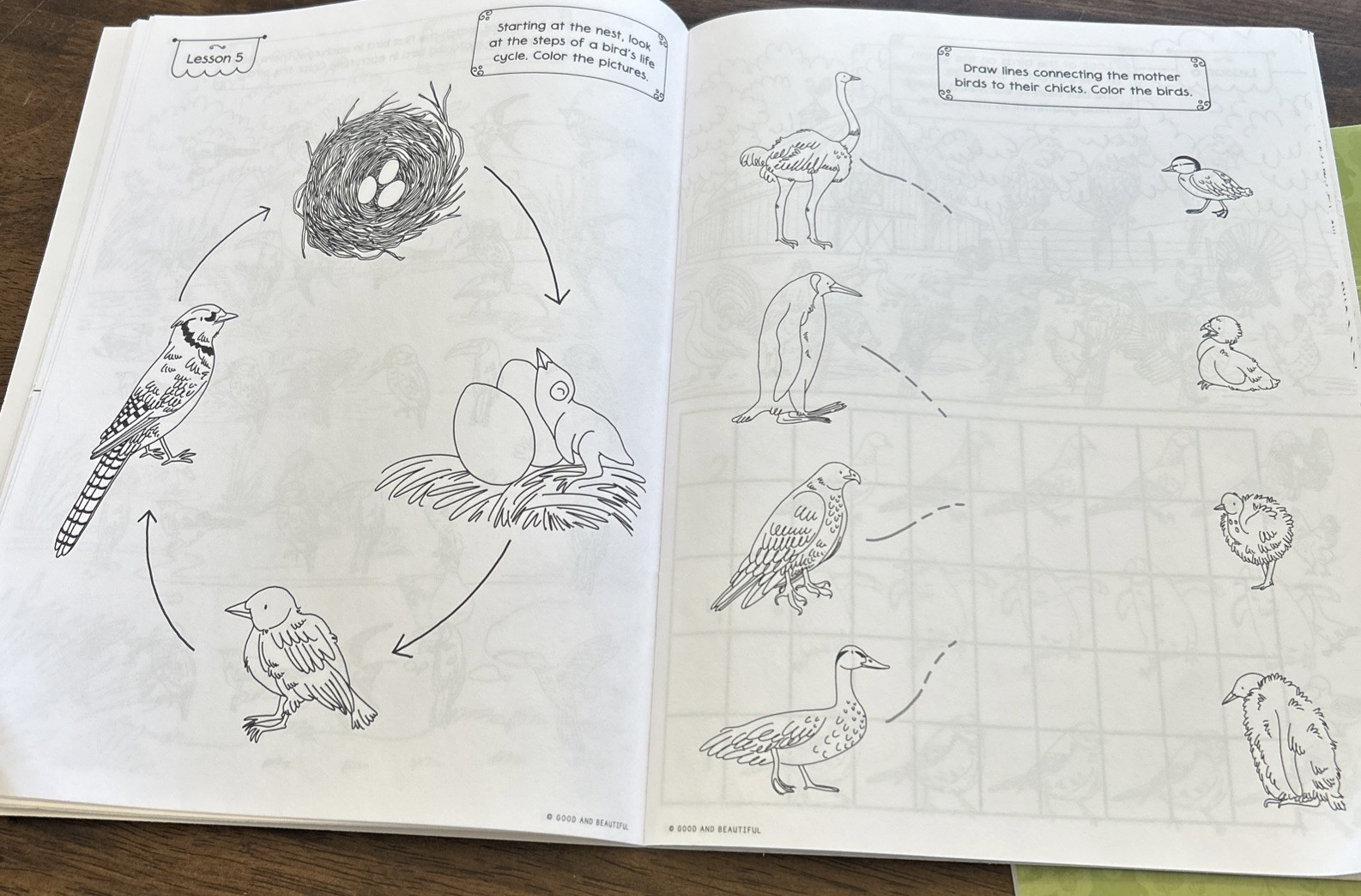 The Good and Beautiful – For Littles – Science Activity Boom Birds And Mammals